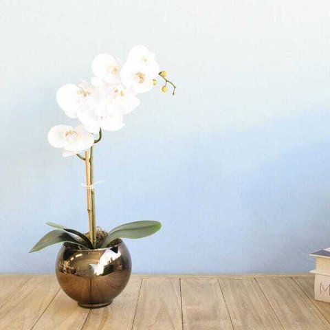 Arranjo de Orquídea de Silicone Branca no Vaso de Vidro Bronze Pequeno