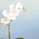 Ver imagem 3 de Arranjo de Orquídea de Silicone Branca no Vaso de Vidro Bronze Pequeno