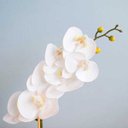 Ver imagem 2 de Arranjo de Orquídea de Silicone Branca no Vaso Prateado Pequeno | Linha Permanente Formosinha