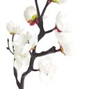 Ver imagem 5 de 02 Hastes Pessegueiro X2 Artificial Decorativa 17cm