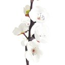 Ver imagem 6 de 02 Hastes Pessegueiro X2 Artificial Decorativa 17cm