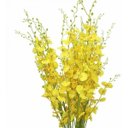 Ver imagem 1 de Orquídeas Chuva De Ouro Artificial 5 Galhos Grandes