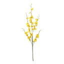 Ver imagem 2 de Orquídeas Chuva De Ouro Artificial 5 Galhos Grandes