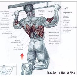 Barra Fixa De Parede Crossfit Pull Up Musculação Kit 2 Unid. - 3 Barra Fixa De Parede Crossfit Pull Up Musculação Kit 2 Unid. - 3