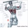 Barra Fixa De Parede Crossfit Pull Up Musculação Kit 2 Unid. - 3