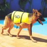 Ativa Pet Vest Gg Acima De 36kg - Colete Salva Vidas Para Cão - 2