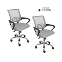 Ver imagem 2 de Kit 2 Cadeiras de Escritório Begonia Mesh Ergonômico Cinza + E-book