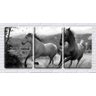 Quadro Decorativo Dois Cavalos Correndo Desenho Pb 45x96 - 1