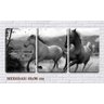 Quadro Decorativo Dois Cavalos Correndo Desenho Pb 45x96 - 2