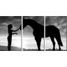 Quadro Decorativo Cavalo E Menina Preto E Branco - 1