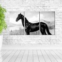 Ver imagem 2 de Quadro Decorativo Preto E Branco Cavalo Preto Pintura