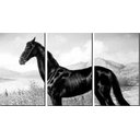 Ver imagem 1 de Quadro Decorativo Preto E Branco Cavalo Preto Pintura