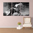 Ver imagem 2 de Quadro Decorativo Preto E Branco Cavalo Preto e Branco