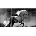 Ver imagem 1 de Quadro Decorativo Preto E Branco Cavalo Preto e Branco