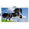 Quadro Decorativo Lindo Cavalo Preto No Campo Paisagem - 2