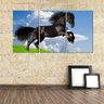 Quadro Decorativo Lindo Cavalo Preto No Campo Paisagem - 3