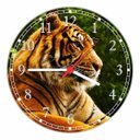 Ver imagem 1 de Relógio De Parede Animais Tigre Decoração