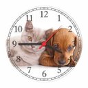 Ver imagem 1 de Relógio De Parede Animais Gato e Cão Pet Shop Decoração Salas Quartz