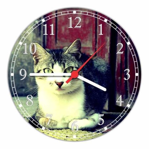 Relógio De Parede Animais Gato Pet Shop Decoração Salas Quartz