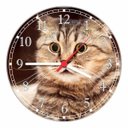 Ver imagem 1 de Relógio De Parede Animais Gato Pet Shop Decoração Salas Quartz