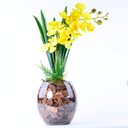 Ver imagem 1 de Arranjo de Orquídea Amarela Jardim Dourado