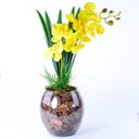 Ver imagem 2 de Arranjo de Orquídea Amarela Jardim Dourado