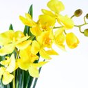 Ver imagem 3 de Arranjo de Orquídea Amarela Jardim Dourado