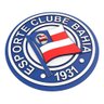Placa Escudo Esporte Clube Bahia Em Alto Relevo 44cm - 1
