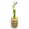 Vaso Indiano em Cerâmica com Bambu da Sorte (3 Hastes) - 1
