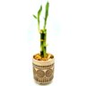 Vaso Indiano em Cerâmica com Bambu da Sorte (3 Hastes) - 2