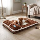 Ver imagem 7 de Cama Pet Ortopedica Cachorro Espuma Alivia Dores Articulares