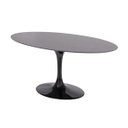 Ver imagem 3 de Mesa Saarinen Oval 137x90 Cm Mármore São Gabriel São Gabriel