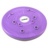 Disco de Equilibrio Liveup Magnetic Trimmer 25cm em Plástico - 2