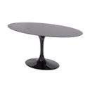 Ver imagem 2 de Mesa Saarinen Oval 120x80 Cm Mármore São Gabriel São Gabriel