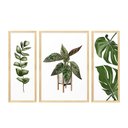 Ver imagem 1 de Trio de Quadros com Moldura Plantas Folhas Decoração Cozinha