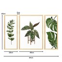 Ver imagem 5 de Trio de Quadros com Moldura Plantas Folhas Decoração Cozinha