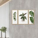 Ver imagem 2 de Trio de Quadros com Moldura Plantas Folhas Decoração Cozinha