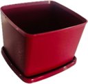 Ver imagem 5 de Tupperware Kit 2 Peças Jeitosinho 800ml Aqui Tem Carinho e Marsala Kit 2 Peças Jeitosinho 800ml Aqui