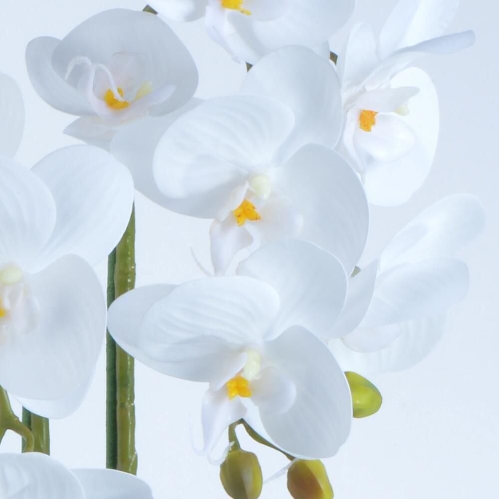 Arranjo 2 Orquídeas Brancas em Vaso Ambar Musa - 2