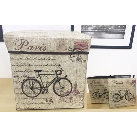Puf Baú Estampa Paris Bicicleta