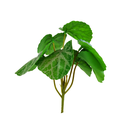 Ver imagem 3 de Arranjo de Planta Artificial em Vaso de Plástico Modelo:Planta Barba de Judeu