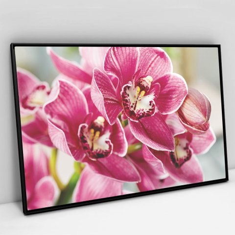 Quadro Decorativo em Canvas Orquídea Rosa - Moldura Preta - 60 x 40cm