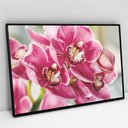 Ver imagem 1 de Quadro Decorativo em Canvas Orquídea Rosa - Moldura Preta - 60 x 40cm