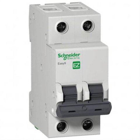 Disjuntor Easy9 2p 40a Curva C 230v 5000a / 400v 3000a - Ez9f33240 - Schneider