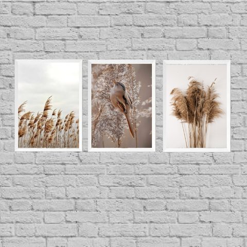 Kit 3 Quadros Capim Dos Pampas E Passarinho 45x34cm:Madeira preta