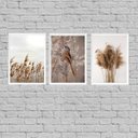 Ver imagem 1 de Kit 3 Quadros Capim Dos Pampas E Passarinho 45x34cm:Madeira preta