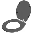 Ver imagem 2 de Assento Sanitário Poliester Avalon Cinza Quartzo (Cinza Escuro) para vaso Ideal Standard
