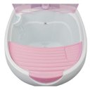 Ver imagem 3 de Lavadora Semiautomática com Pedestal 4kg Lis Wanke 220V