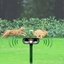 Ver imagem 5 de Repelente Solar Ultrassônico De Animais Pragas Jardim Pombos Ratos Gambas gatos caes