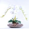 Arranjo Centro de Mesa de Orquídea Branca Toque Real Nevada - 3